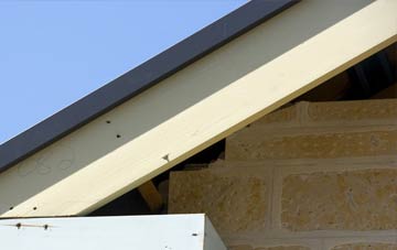 Acton Place fascia repairs