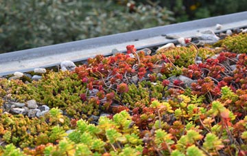 the cost of Acton Place green roof installation