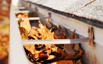 Acton Place gutter cleaning companies