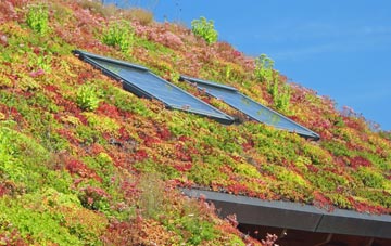 Acton Place living roof systems
